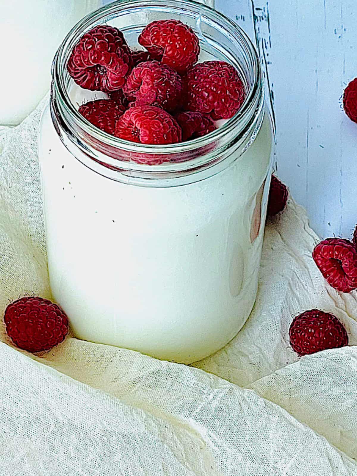 homemade Greek yogurt topped with raspberries