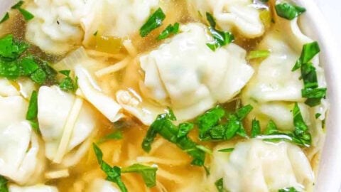 Homemade Wonton Soup – Instant Pot Recipes