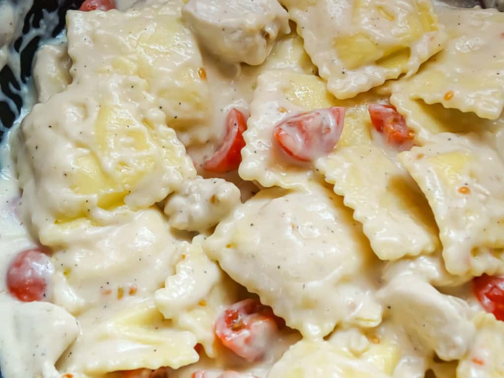 creamy one pot pasta with tomatoes
