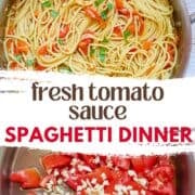 fresh tomato spaghetti sauce pinterest image