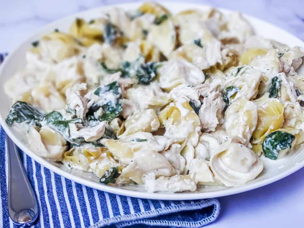 chicken alfredo pasta casserole with tortellini and spinach in a white plate 