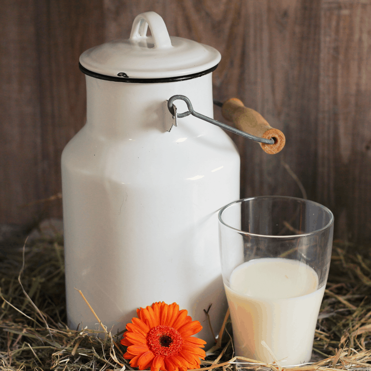 milk in a jug and a glass on a farm stand table