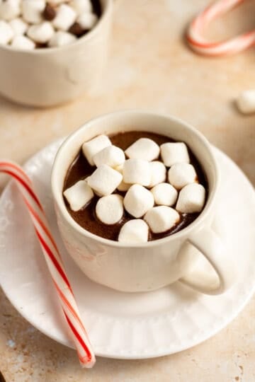 The Best Creamy Crockpot Hot Chocolate Recipe