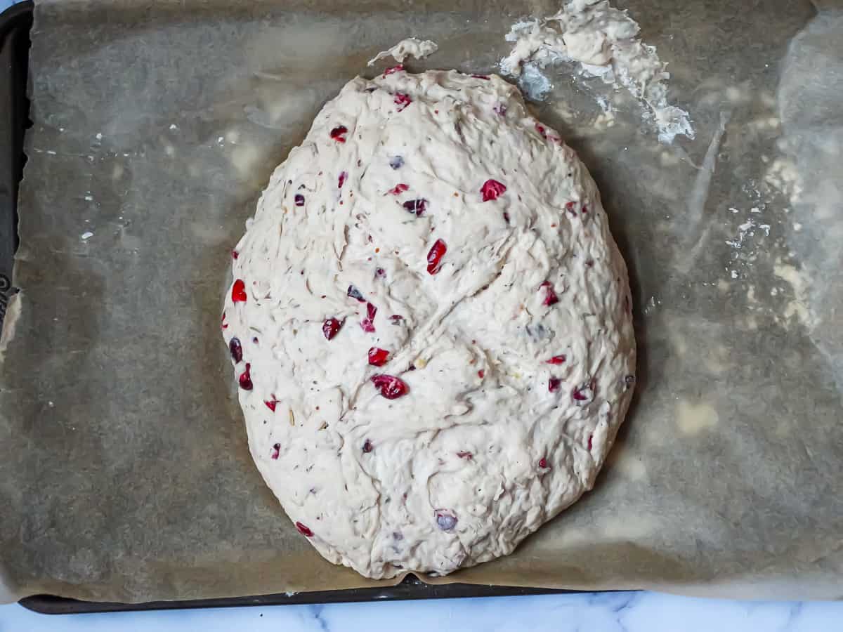 cranberry brie bread dough uncooked on a baking sheet shaped into an oval