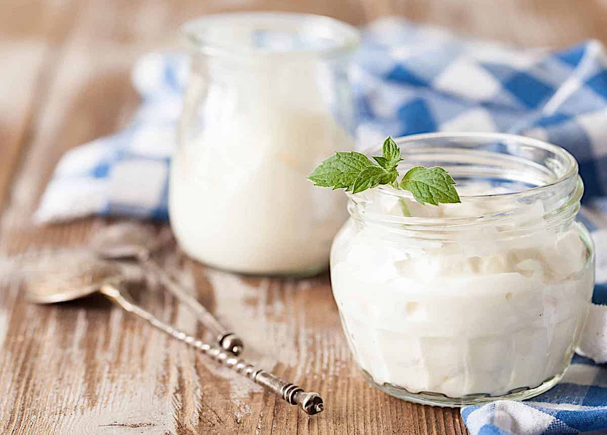 homemade Greek yogurt in mason jars with a mint leaf