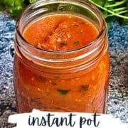 instant pot salsa pinterest image