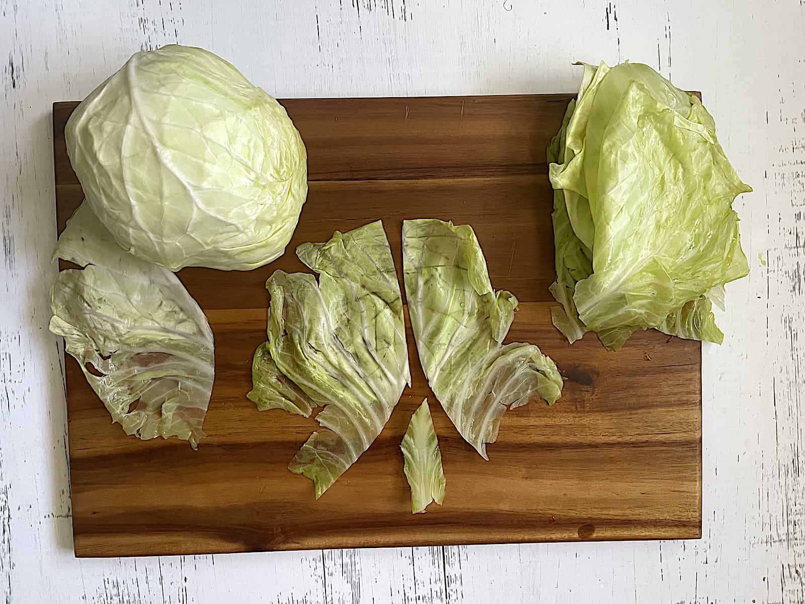 parboiled cabbage with center veins of leaves cut out