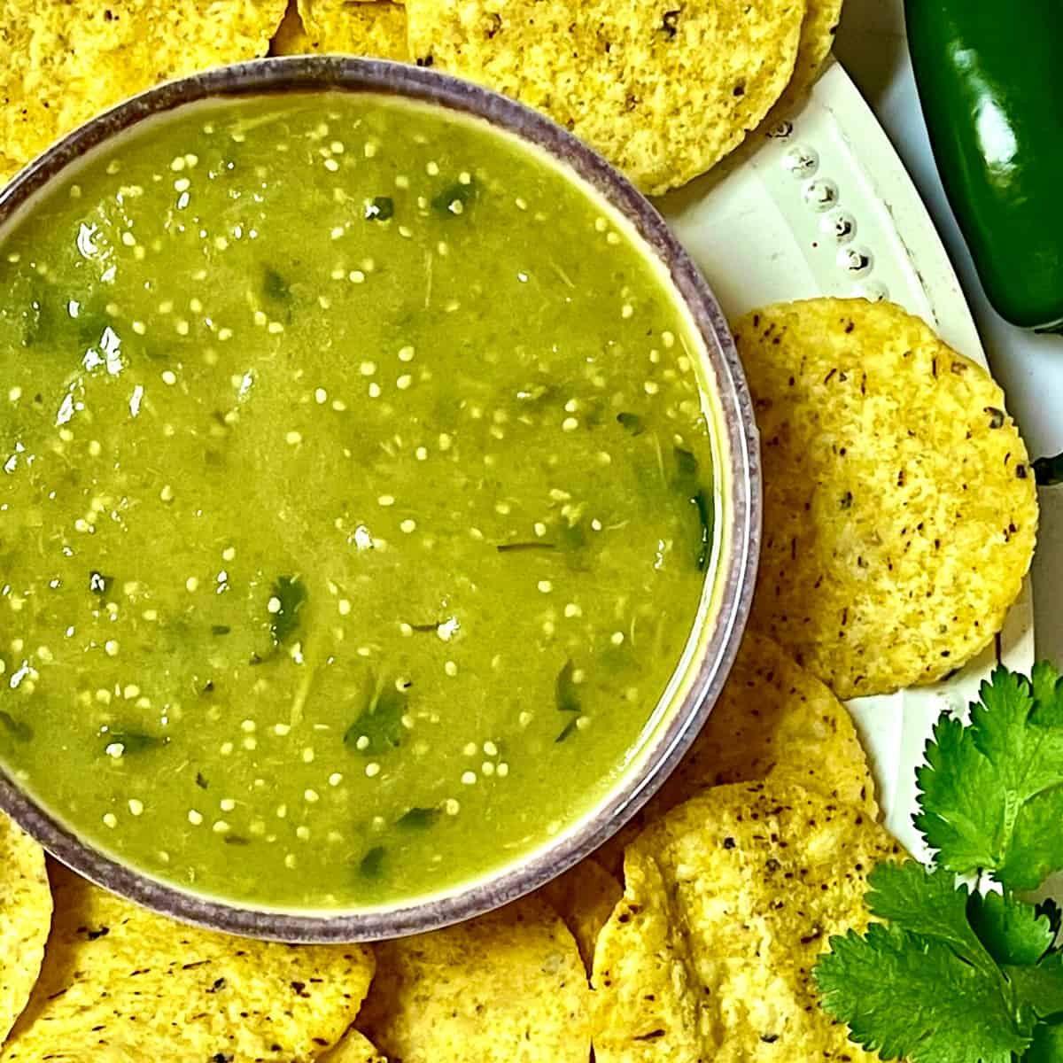 Instant Pot Salsa Verde in 20 Minutes | Tasty Oven