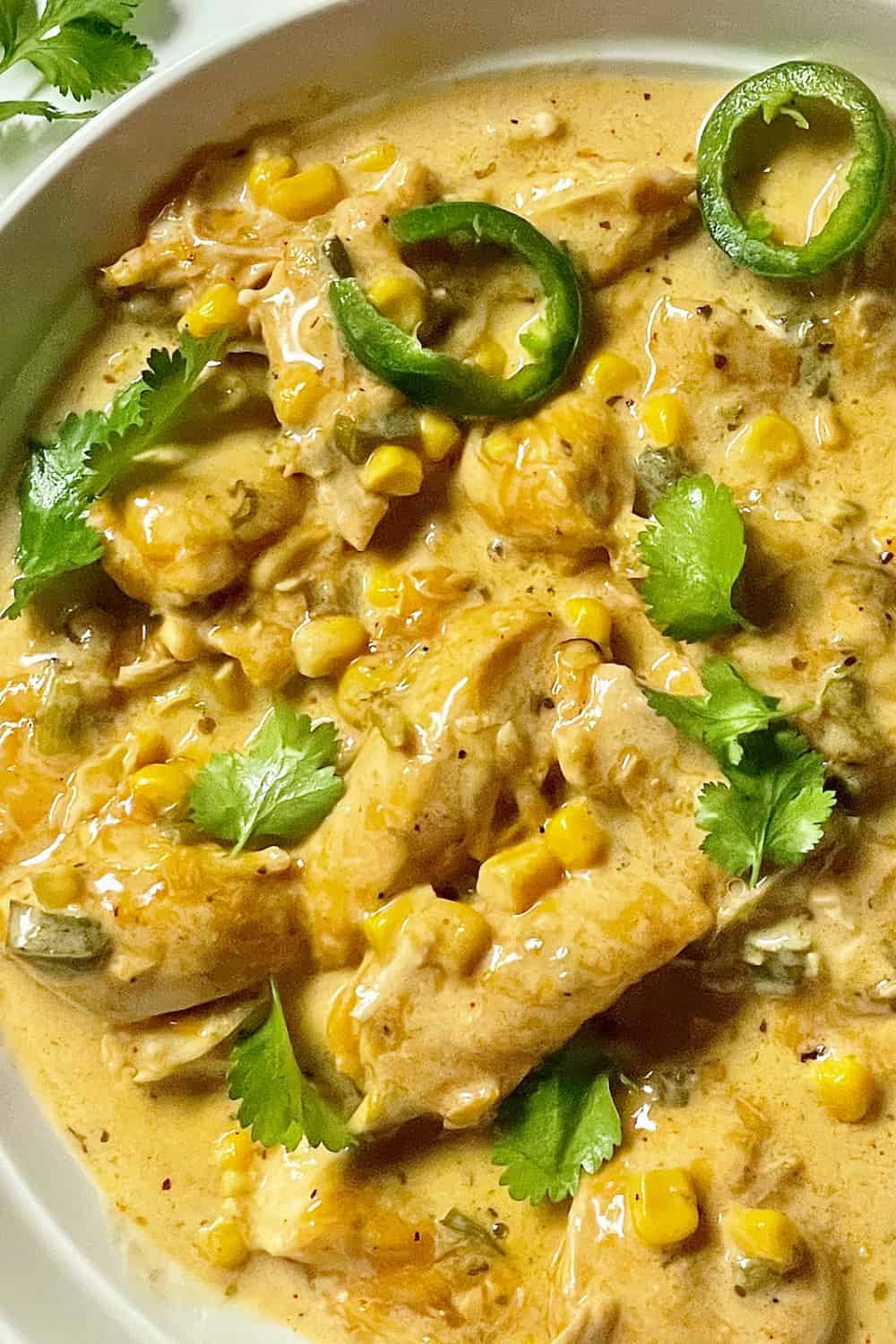 Jalapeño Cheddar Chicken (Instant Pot Recipe) – Tasty Oven