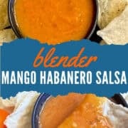 mango habanero salsa pinterest image