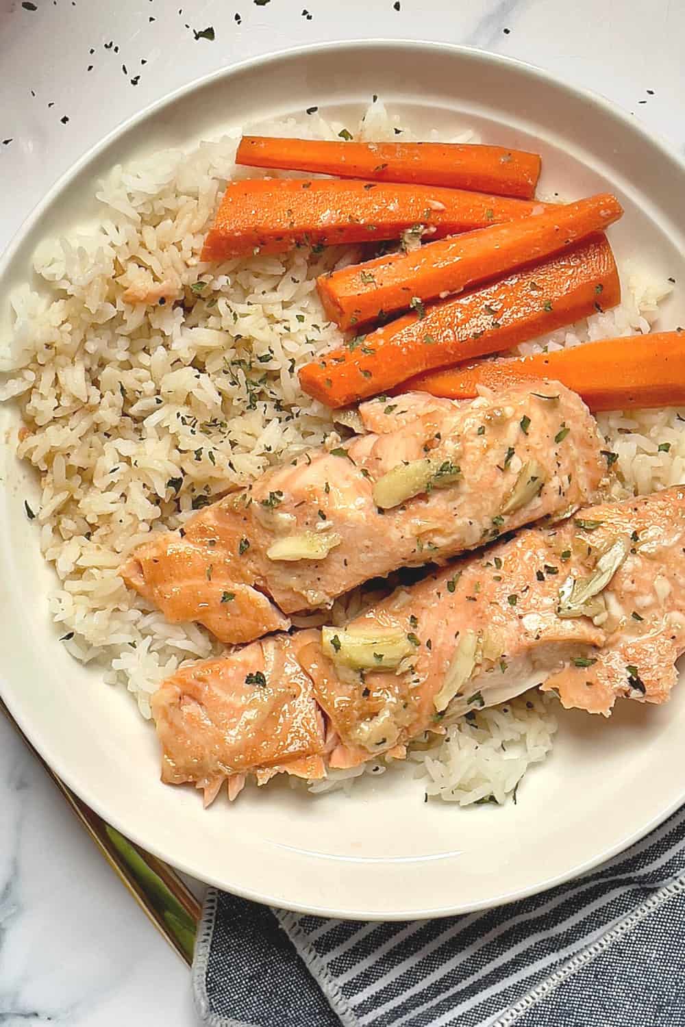 Instant Pot Salmon and Rice