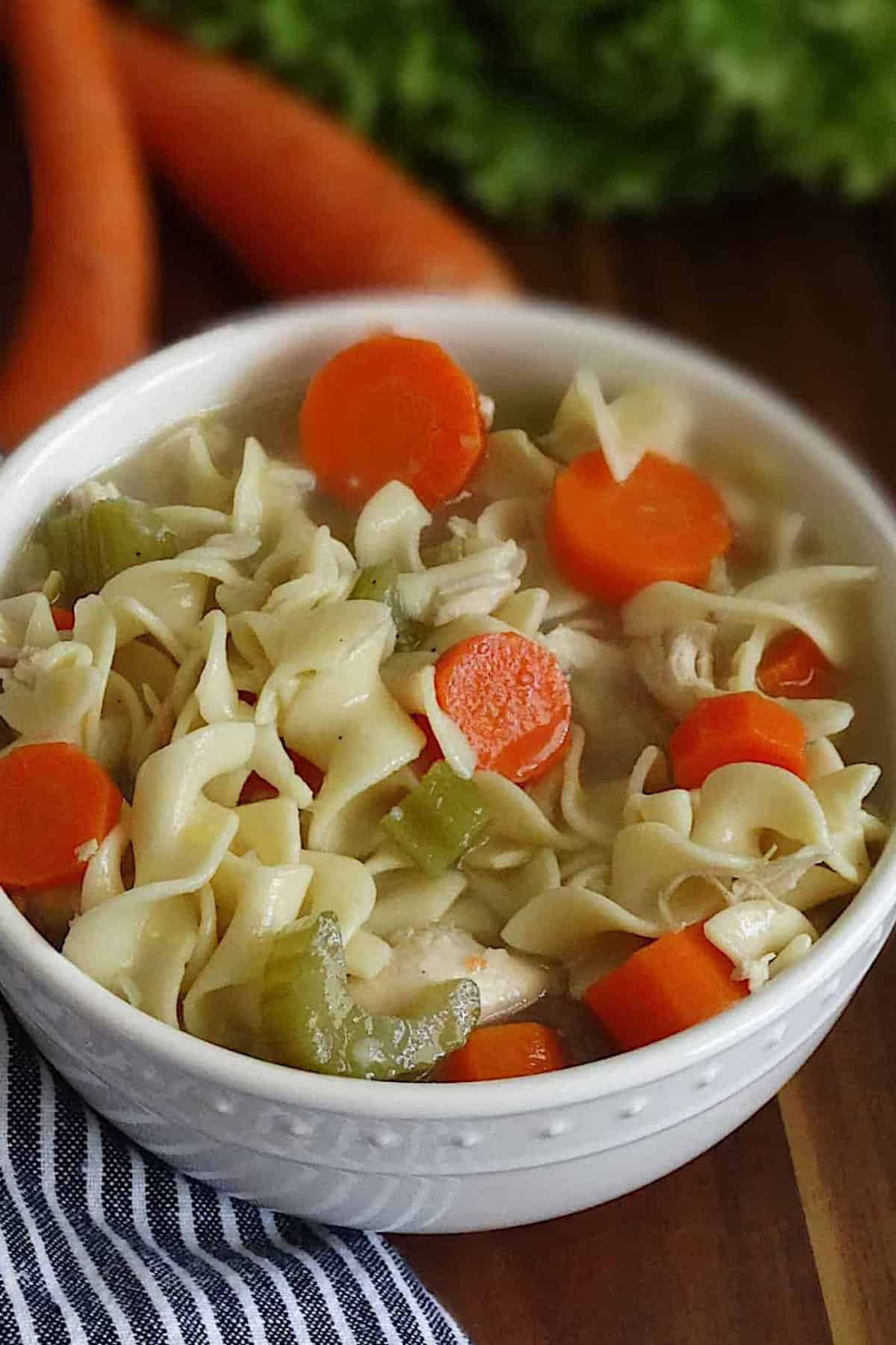 instant pot chicken noodle soup in a white bowl