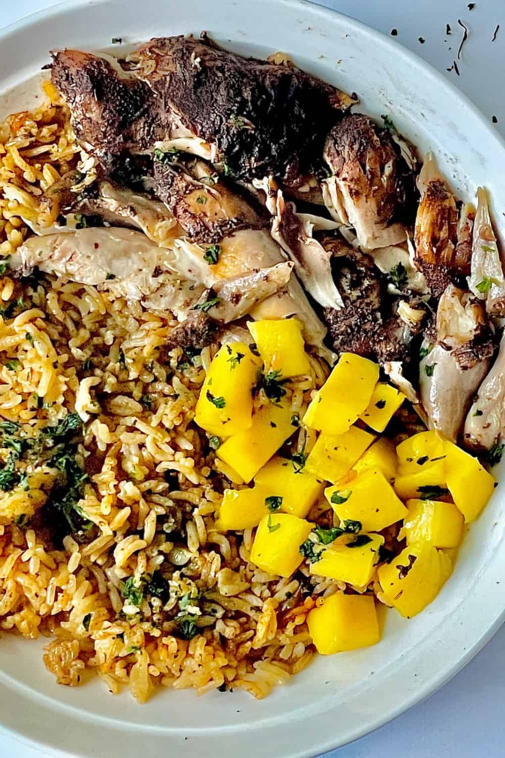 Instant Pot Jamaican Jerk Chicken and Rice