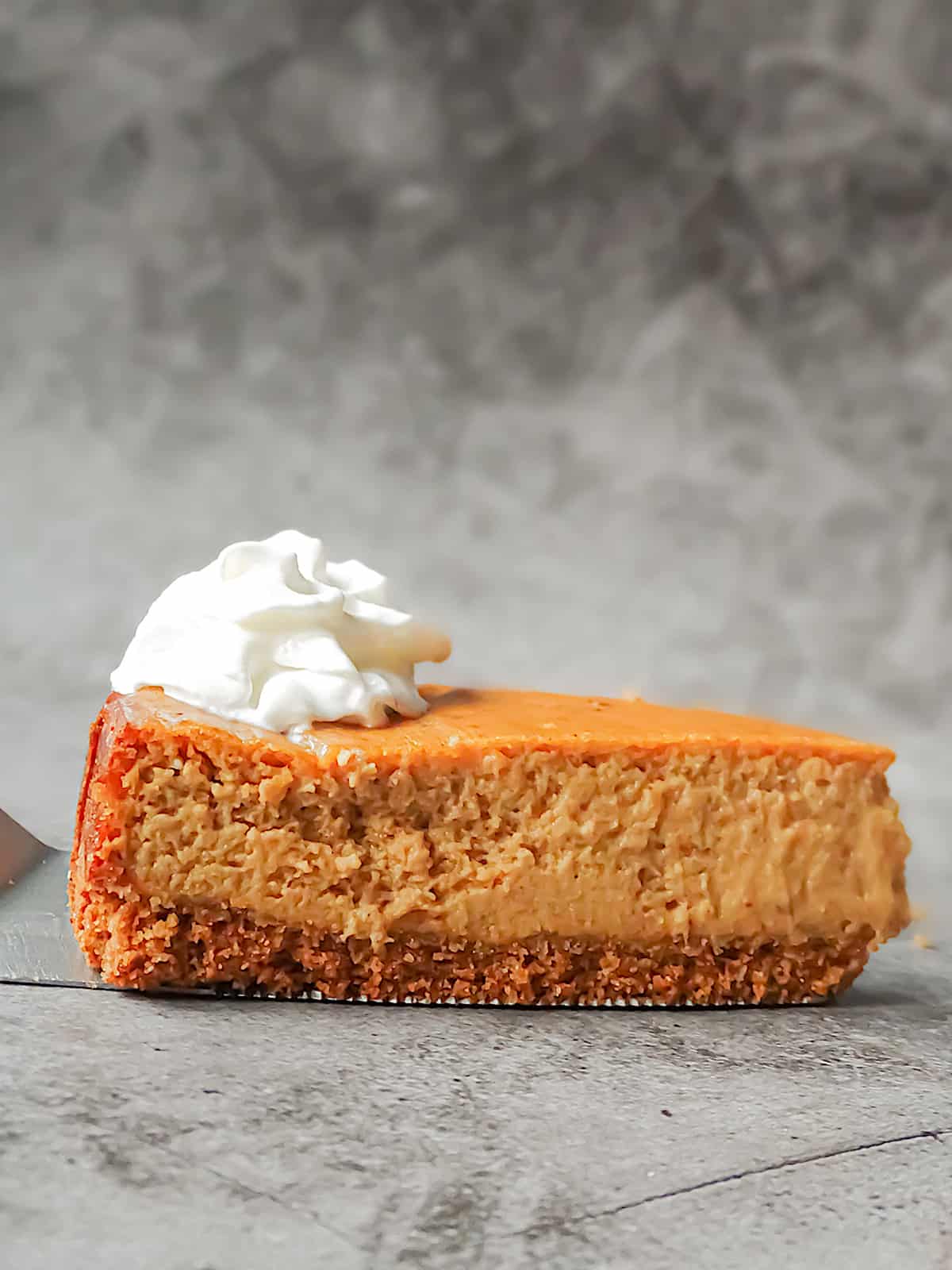 pumpkin cheesecake topped with whipped cream on a gray backdrop