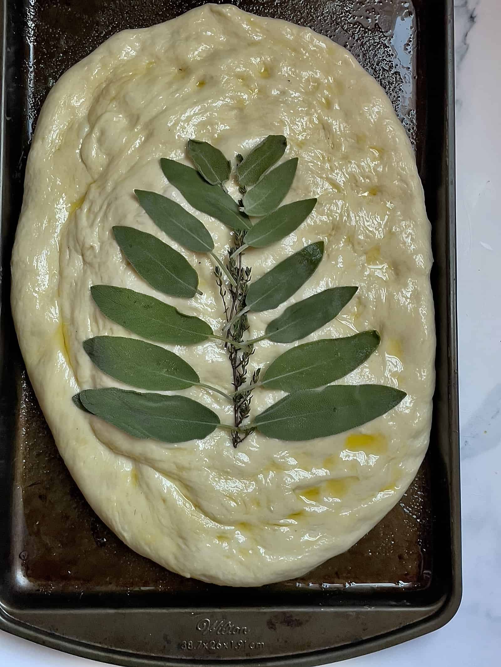 sage leaves spread out around a piece of thyme on focaccia bread