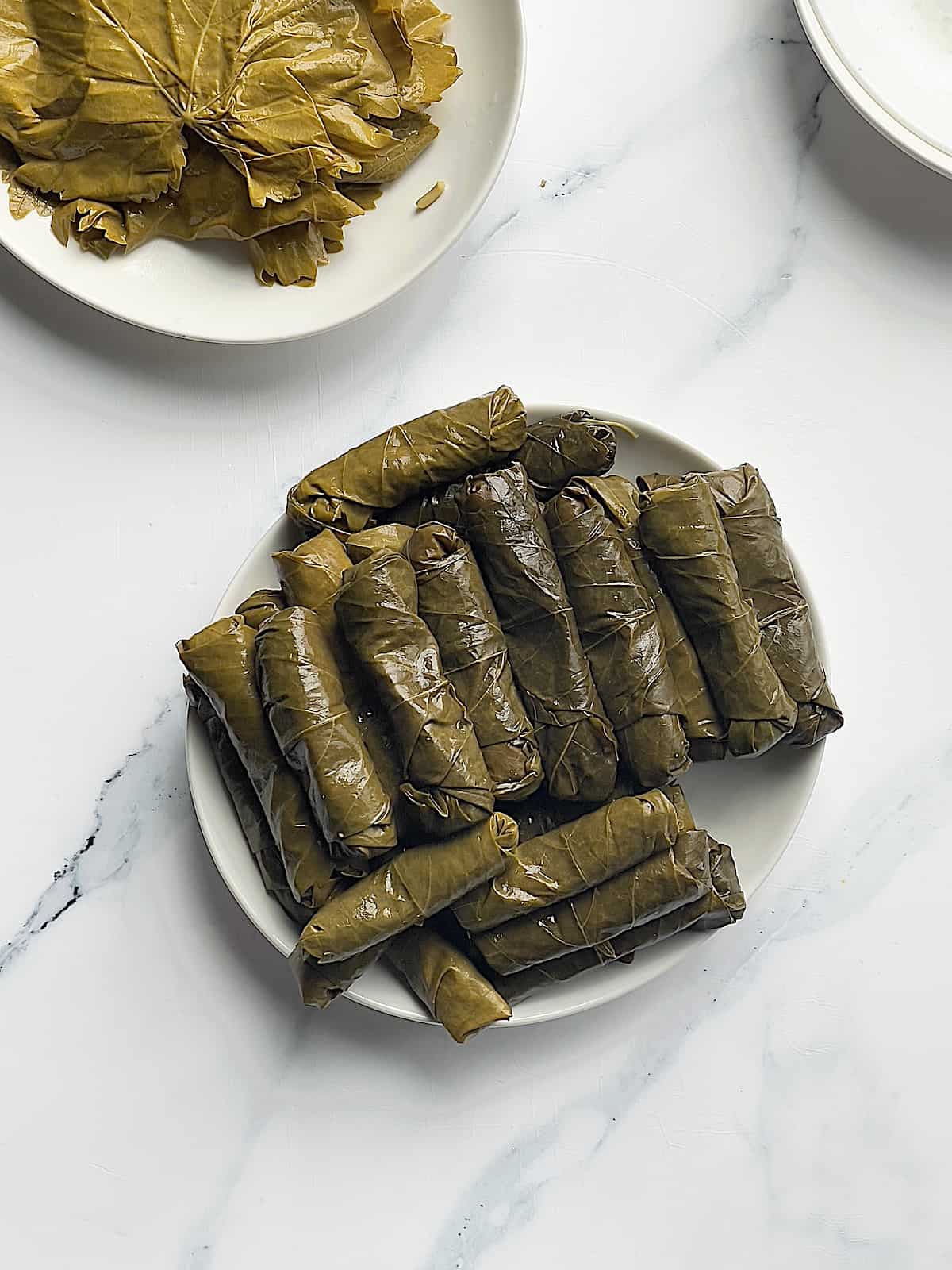 rolled grape leaves on a plate
