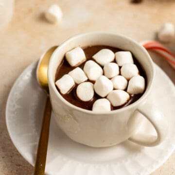 instant pot hot cocoa in a mug topped with marshmallows