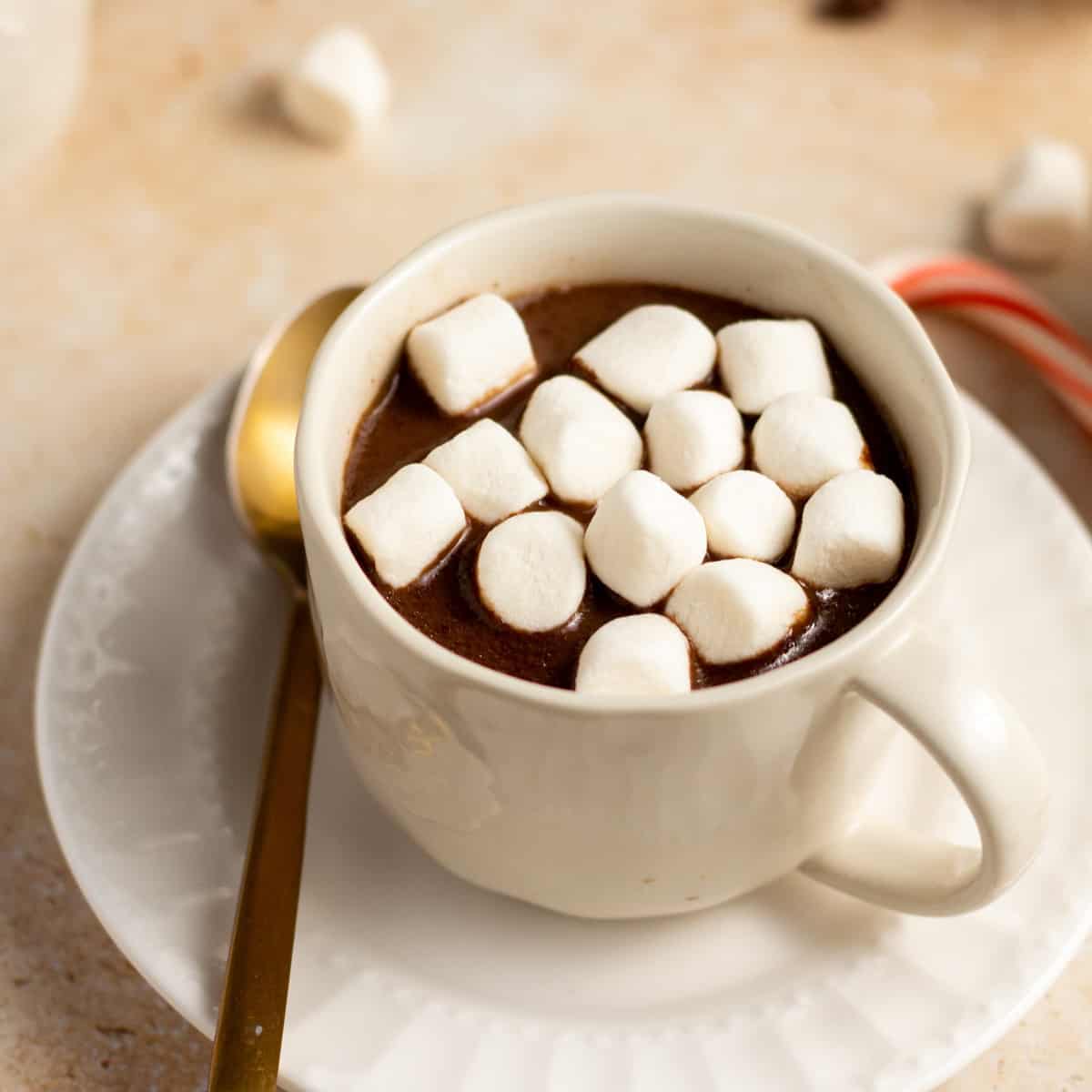 Instant Pot Hot Chocolate • Food Folks and Fun