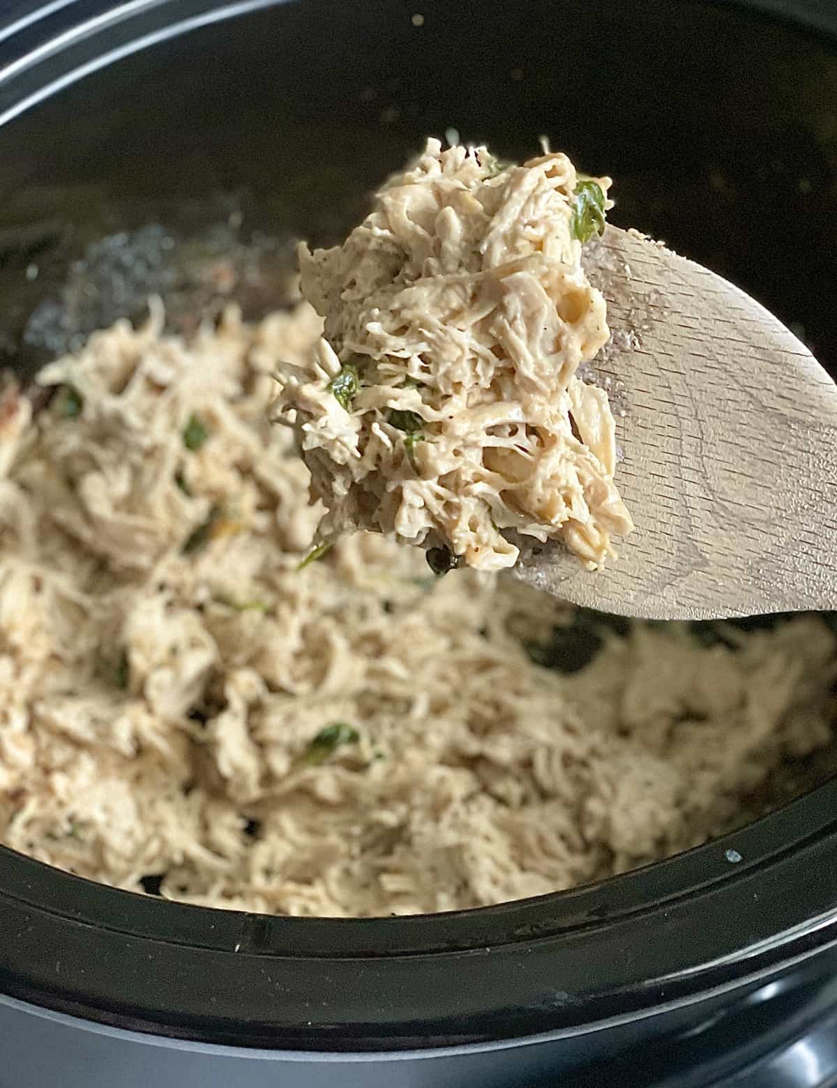 shredded ranch chicken on a spoon being lifted out of the slow cooker