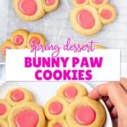 bunny paw cookies pinterest image