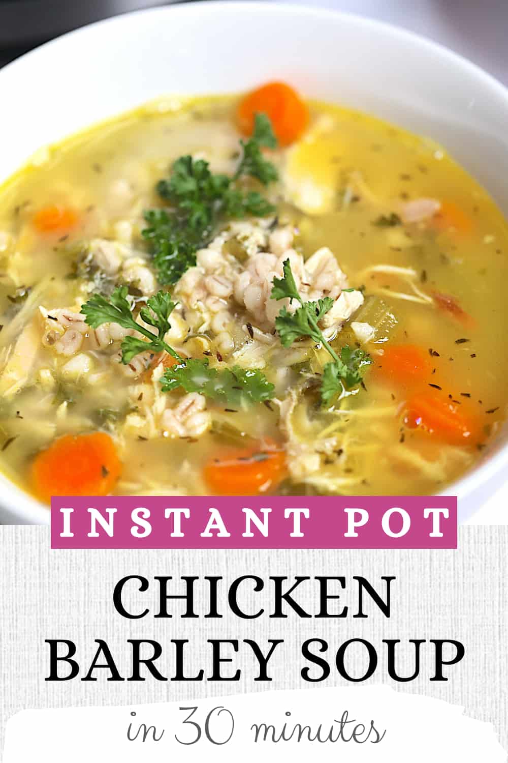 Instant Pot Barley Soup – Tasty Oven
