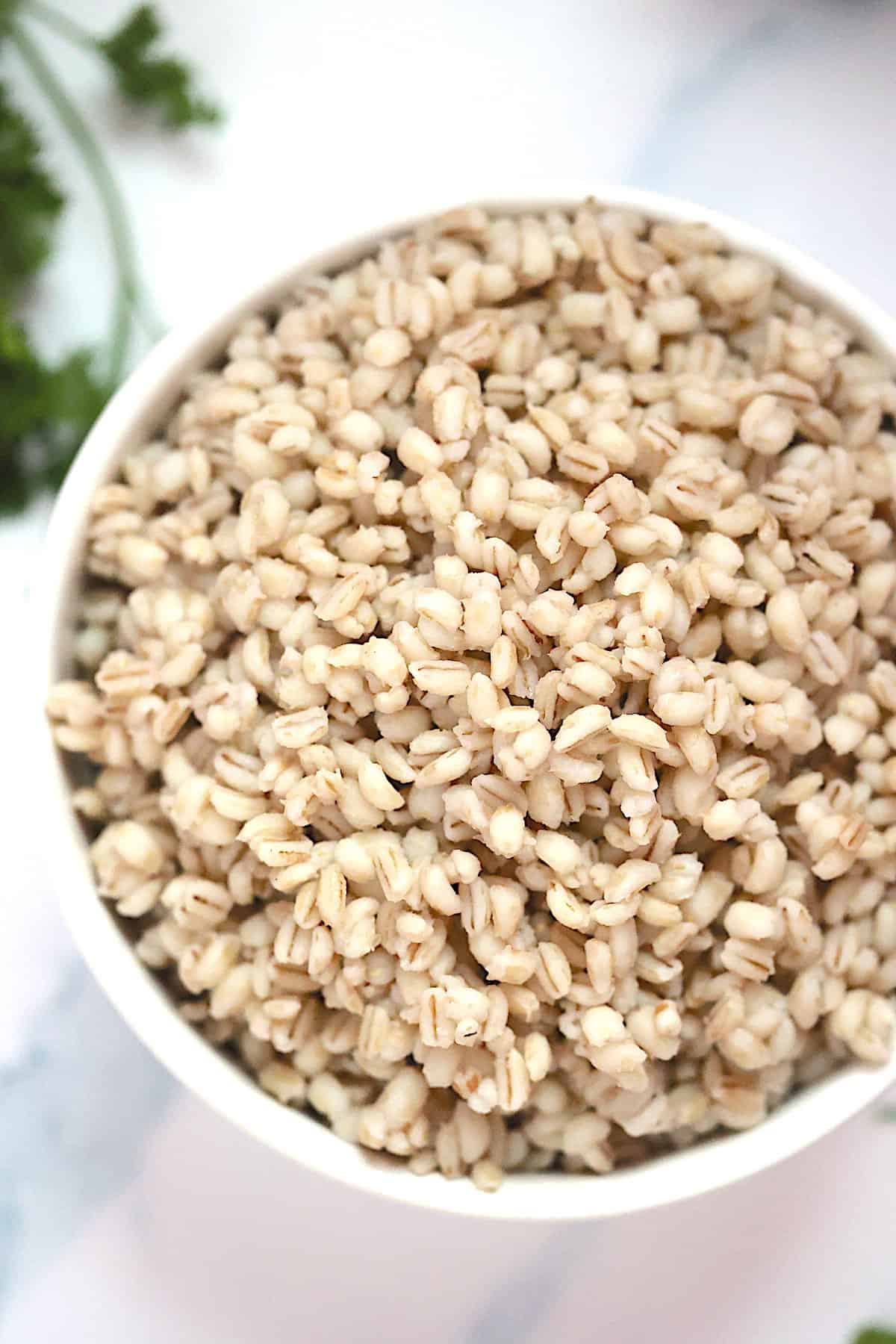 instant pot barley in a white bowl 