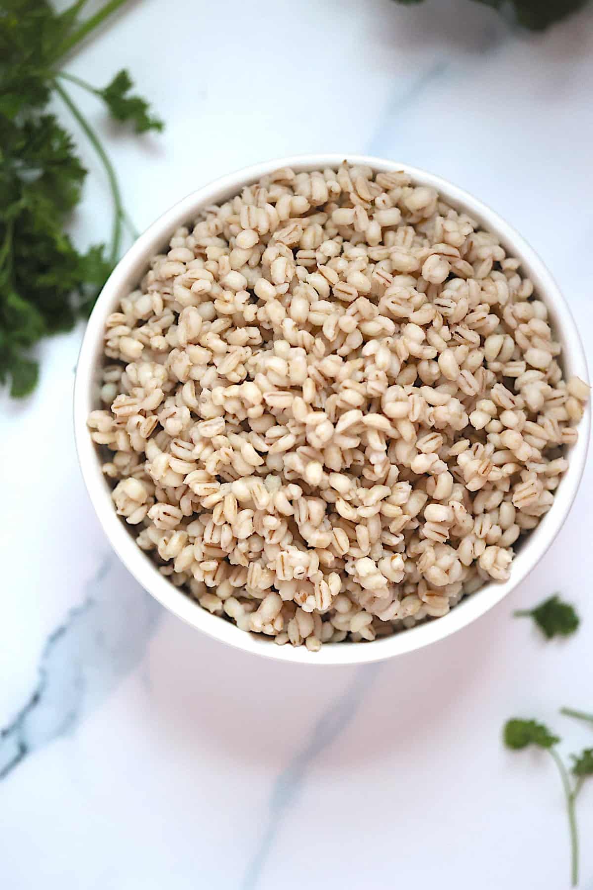 instant pot barley in a white bowl