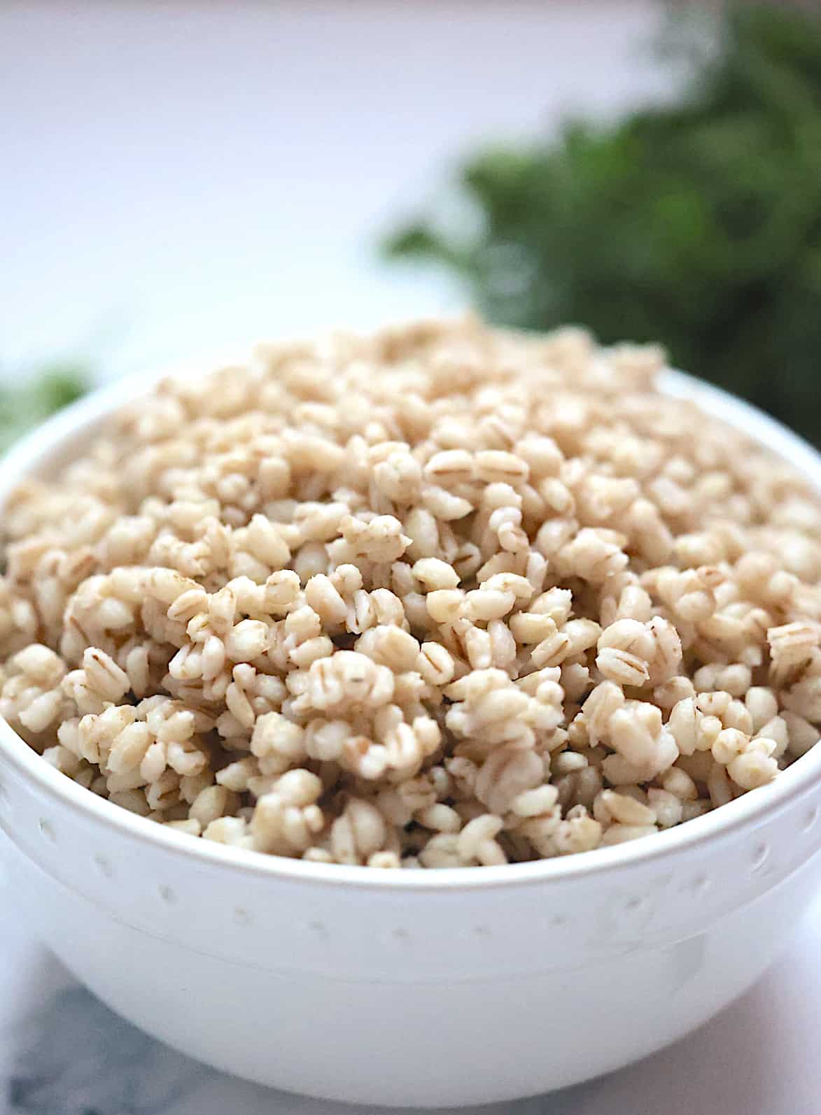 instant pot barley in a white bowl