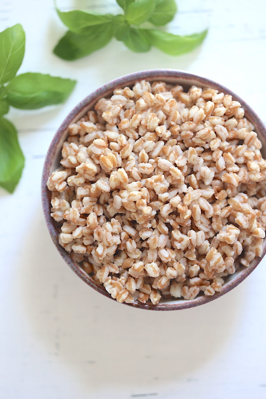 Instant Pot Farro Tasty Oven
