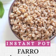 instant pot farro pinterest image