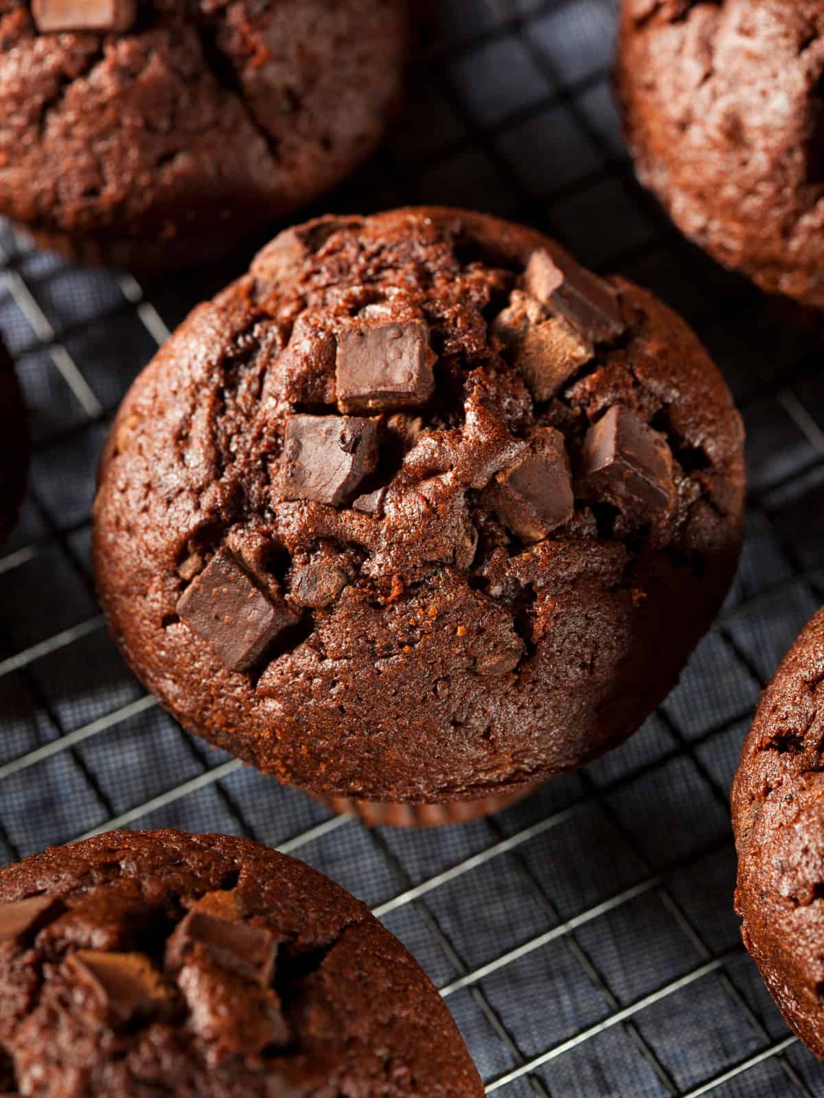 air fried chocolate muffins on a cooling rack