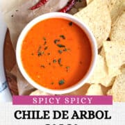 chile de arbol salsa in a white bowl surrounded by chips and peppers