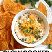 crock pot jalapeno dip pin
