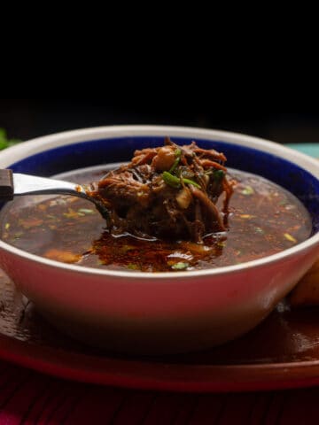 crockpot birria taco meat in a bowl