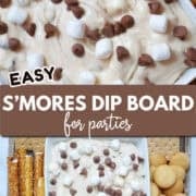 s'mores dip board pinterest image