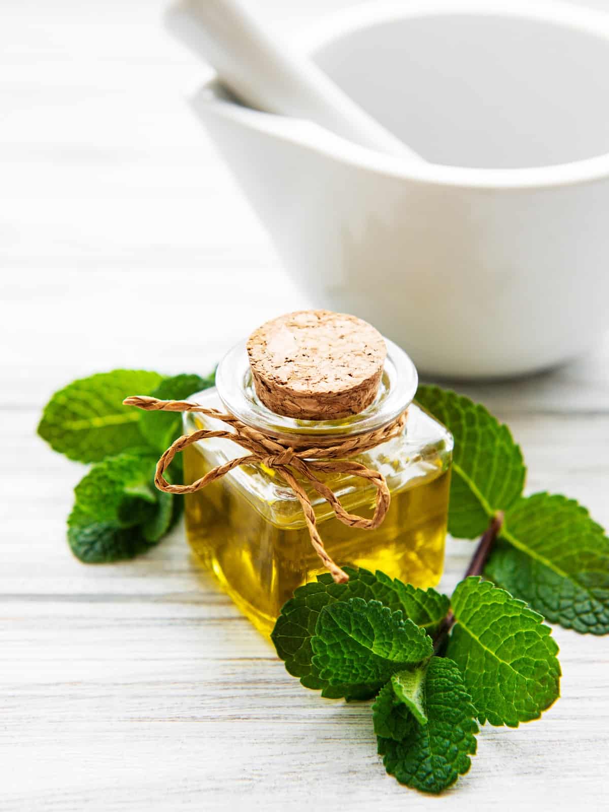 pressure cooker peppermint extract in a glass bottle surrounded by mint leaves