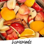 homemade instant pot apple cider pin image