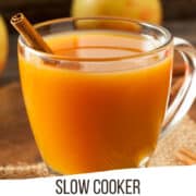 slow cooker apple cider in a glass