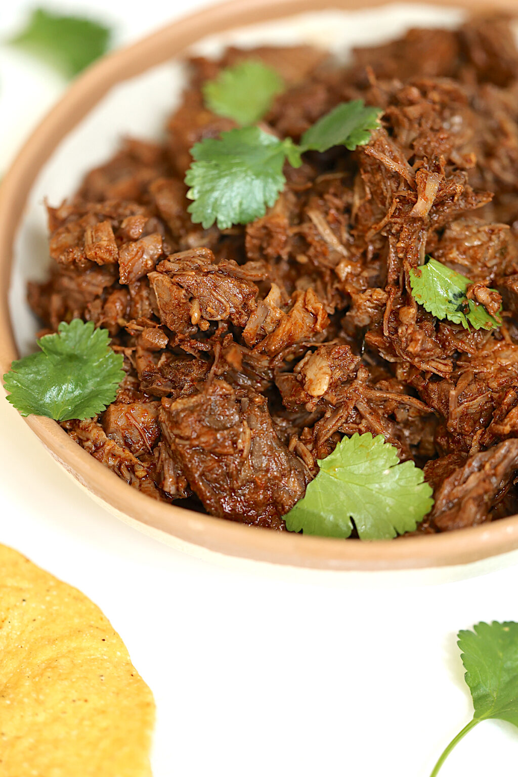 Instant Pot Shredded Beef – Tasty Oven