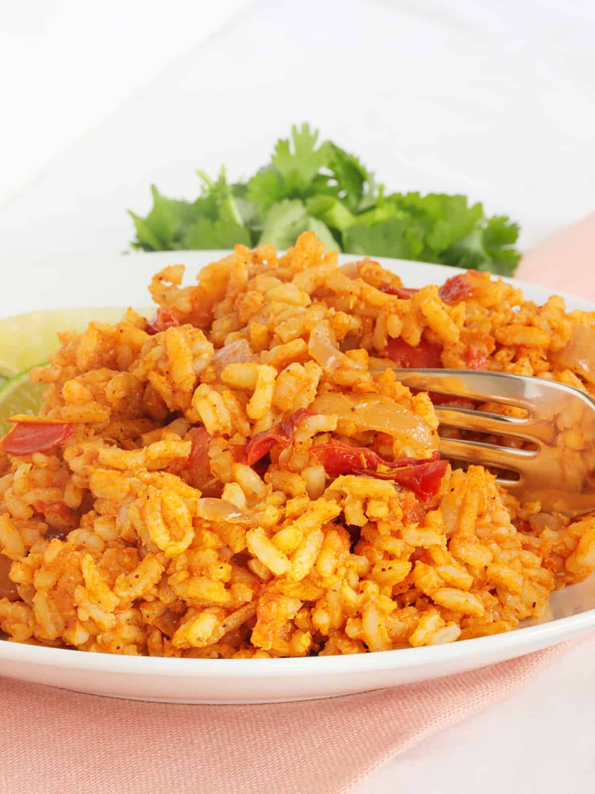 instant pot spanish rice in a white bowl