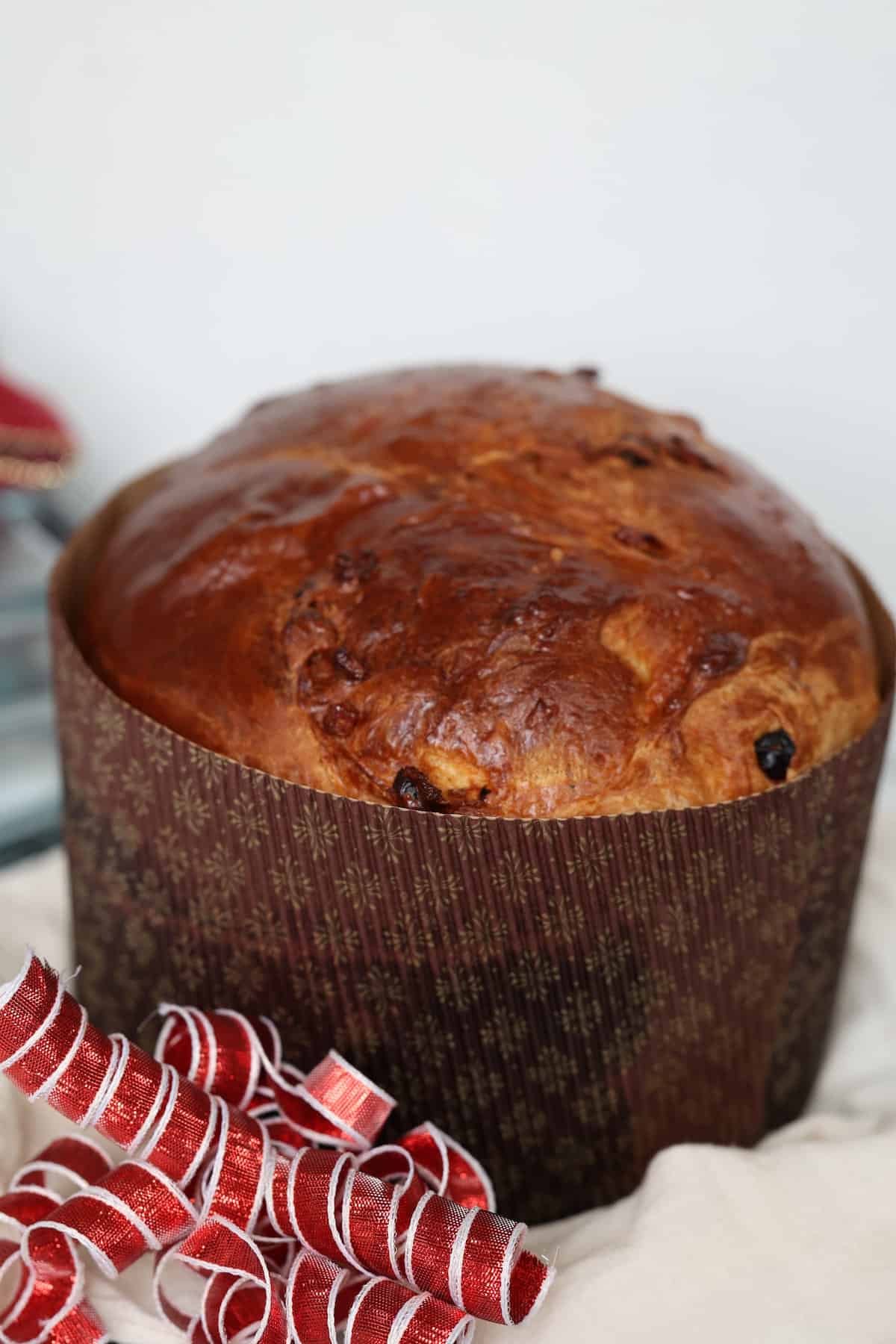 panettone bread in a paper mold 