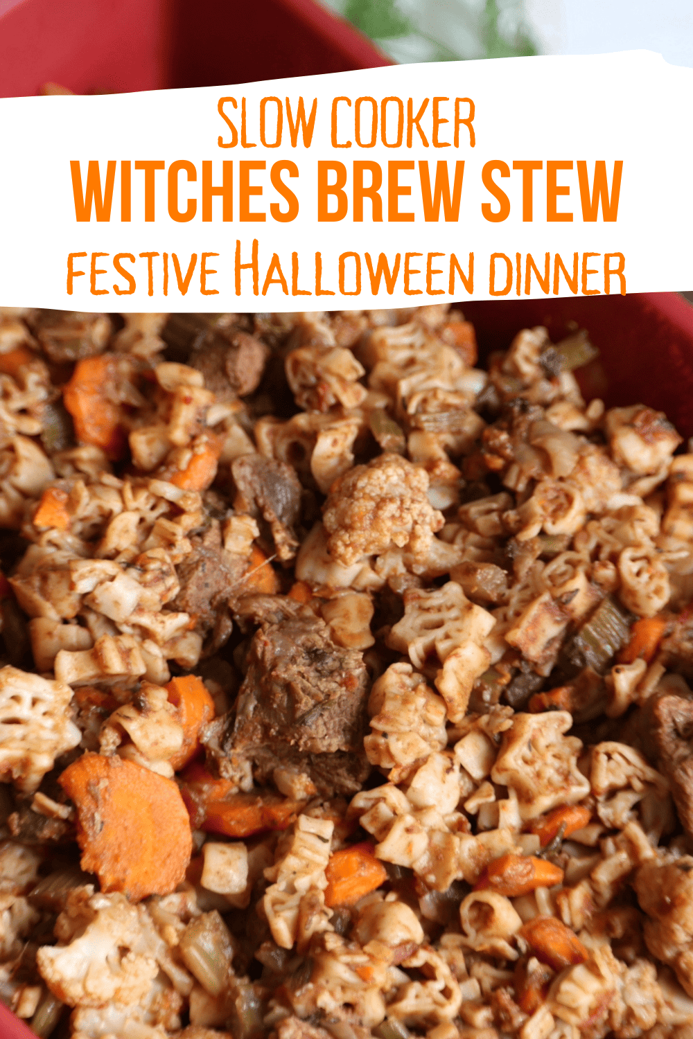 Slow Cooker Witches Brew Stew