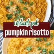 instant pot pumpkin risotto pinterest image