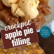 crockpot apple pie filling pinterest image