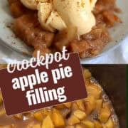 crockpot apple pie filling pinterest image