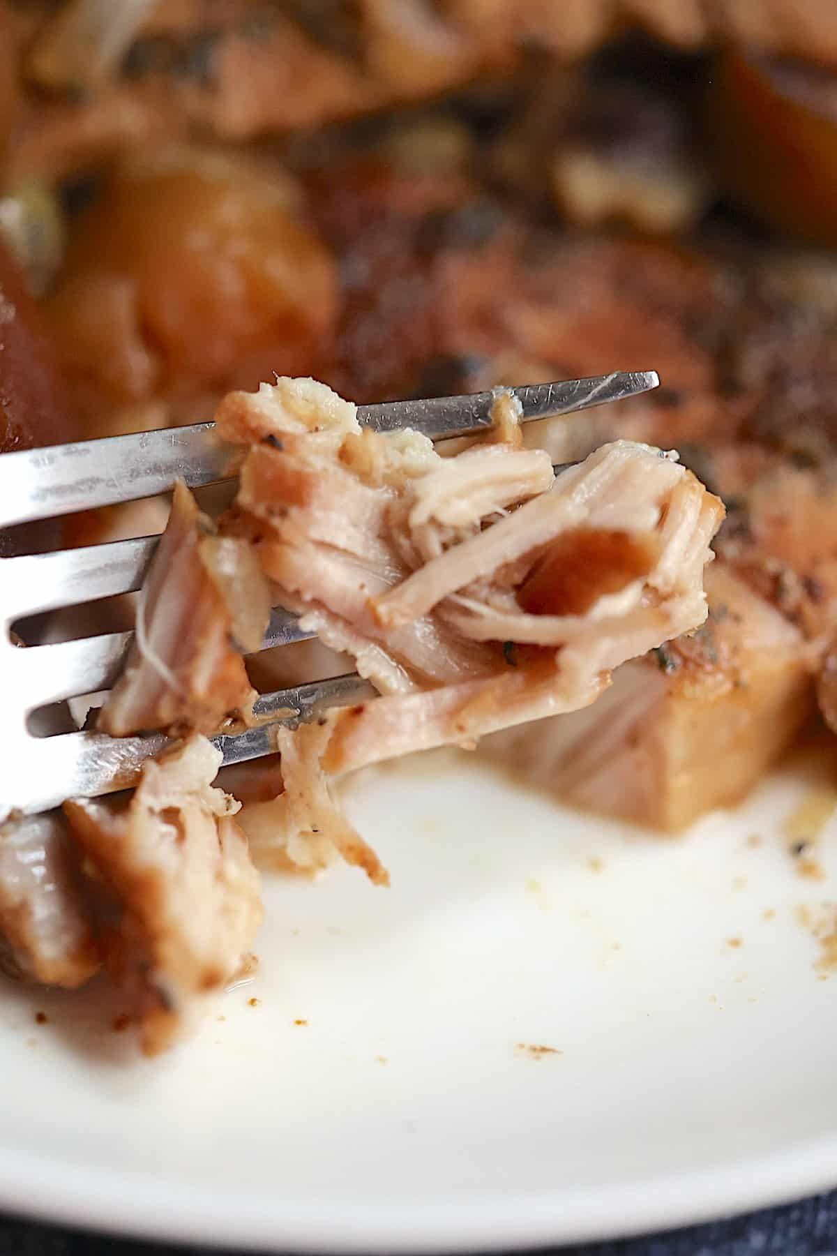 close up of shredded pork loin on a fork
