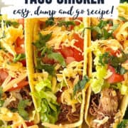 shredded taco chicken in the slow cooker