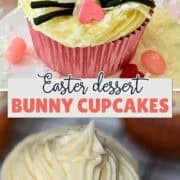 easter bunny cupcakes pinterest image