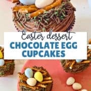 chocolate egg bird nest cupcakes pinterest image