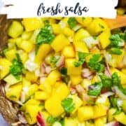 mango pico ge gallo pinterest image